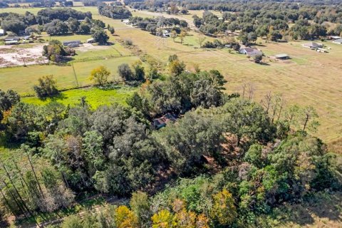 Land in Summerfield, Florida № 1311502 - photo 9