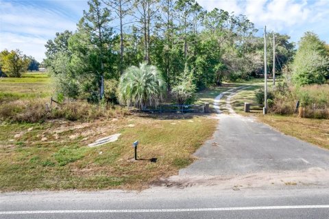 Land in Summerfield, Florida № 1311502 - photo 8