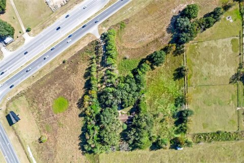 Land in Summerfield, Florida № 1311502 - photo 4