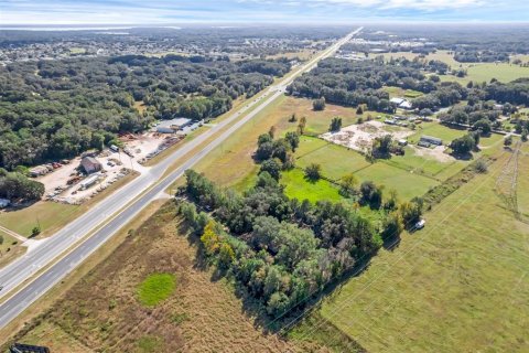 Land in Summerfield, Florida № 1311502 - photo 11