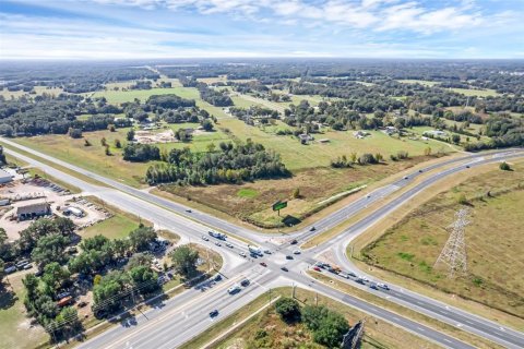 Land in Summerfield, Florida № 1311502 - photo 3