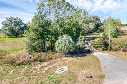 Land in Summerfield, Florida № 1311502 - photo 7