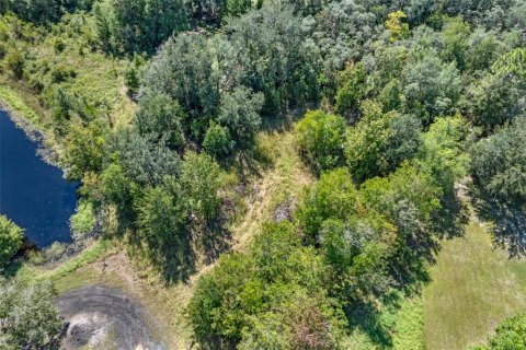 Terreno en venta en Homosassa, Florida № 2395675 - foto 19