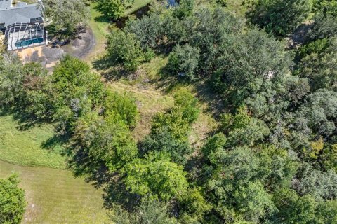 Terreno en venta en Homosassa, Florida № 2395675 - foto 21