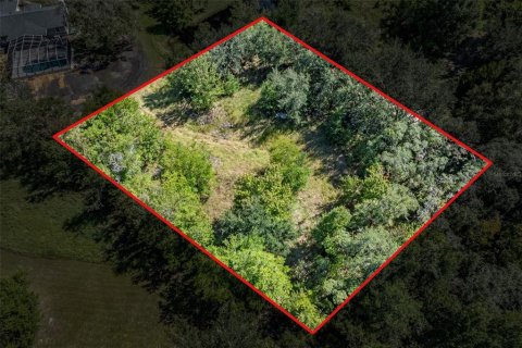 Terreno en venta en Homosassa, Florida № 2395675 - foto 29