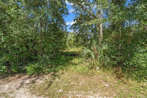 Terreno en venta en Homosassa, Florida № 2395675 - foto 14