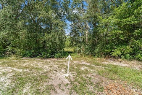 Terreno en venta en Homosassa, Florida № 2395675 - foto 12
