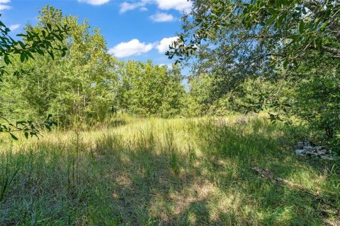 Terreno en venta en Homosassa, Florida № 2395675 - foto 15