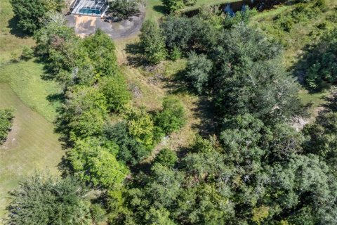 Terreno en venta en Homosassa, Florida № 2395675 - foto 22
