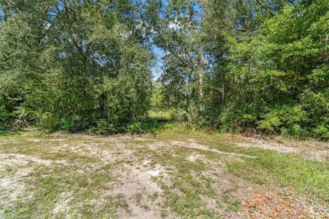 Terreno en venta en Homosassa, Florida № 2395675 - foto 13