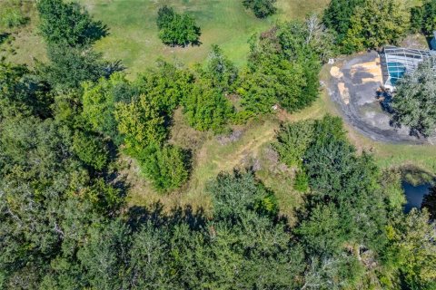 Terreno en venta en Homosassa, Florida № 2395675 - foto 24