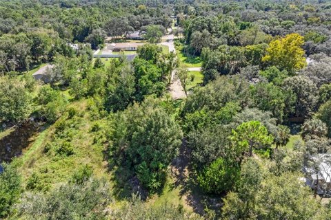 Terreno en venta en Homosassa, Florida № 2395675 - foto 6