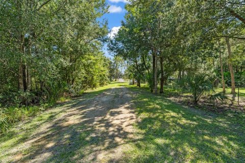 Terreno en venta en Homosassa, Florida № 2395675 - foto 9