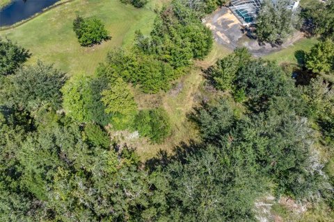 Terreno en venta en Homosassa, Florida № 2395675 - foto 23