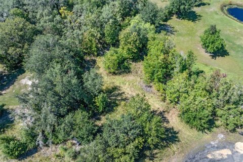 Terreno en venta en Homosassa, Florida № 2395675 - foto 17