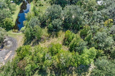 Terreno en venta en Homosassa, Florida № 2395675 - foto 20