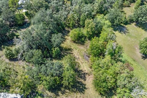 Terreno en venta en Homosassa, Florida № 2395675 - foto 18