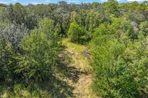 Terreno en venta en Homosassa, Florida № 2395675 - foto 4