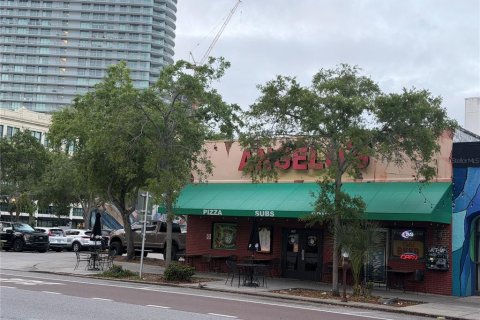 Commercial property in Saint Petersburg, Florida 346.9 sq.m. № 2165950 - photo 3