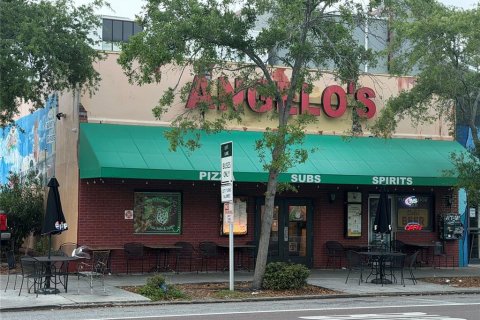 Commercial property in Saint Petersburg, Florida 346.9 sq.m. № 2165950 - photo 2