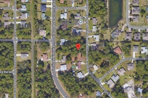 Land in Palm Bay, Florida № 1856748 - photo 2