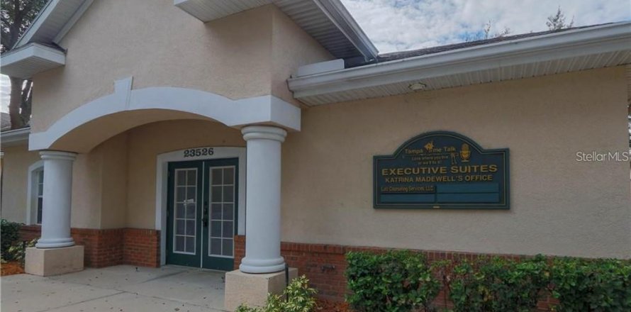 Immobilier commercial à Lutz, Floride 189.71 m2 № 1757783