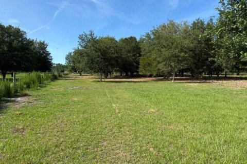 Terreno en venta en Clermont, Florida № 2166803 - foto 4