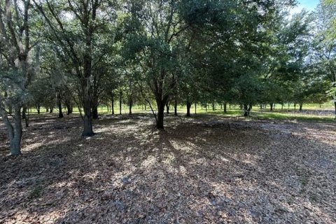 Terreno en venta en Clermont, Florida № 2166803 - foto 12