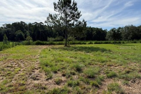 Terreno en venta en Clermont, Florida № 2166803 - foto 2