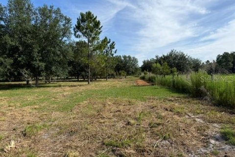 Terreno en venta en Clermont, Florida № 2166803 - foto 7
