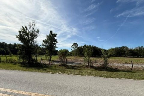 Terreno en venta en Clermont, Florida № 2166803 - foto 10
