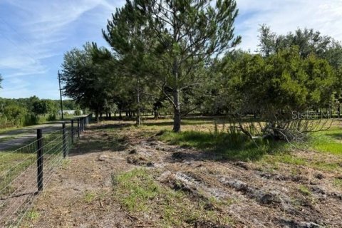 Terreno en venta en Clermont, Florida № 2166803 - foto 8