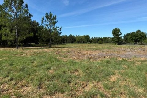 Terreno en venta en Clermont, Florida № 2166803 - foto 3