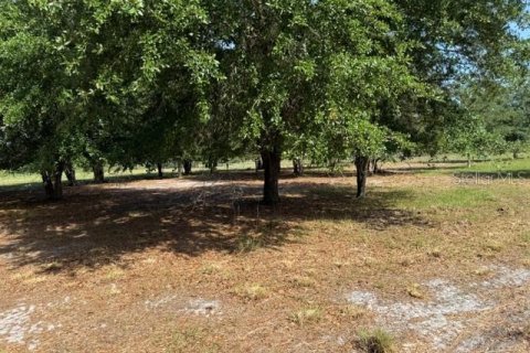 Terreno en venta en Clermont, Florida № 2166803 - foto 6