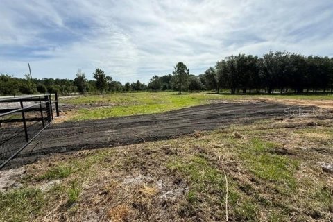 Terreno en venta en Clermont, Florida № 2166803 - foto 11
