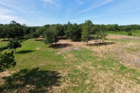 Terreno en venta en Clermont, Florida № 2166803 - foto 15