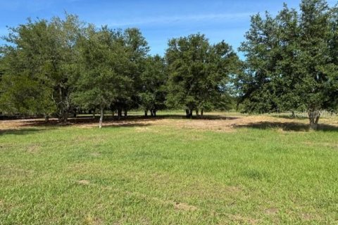 Terreno en venta en Clermont, Florida № 2166803 - foto 5
