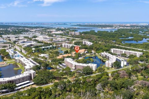Condominio en venta en Saint Petersburg, Florida, 2 dormitorios, 161.19 m2 № 2232126 - foto 2
