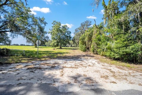Land in Ocala, Florida № 1402290 - photo 2