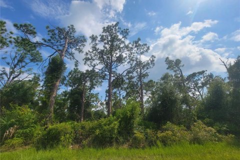 Land in Port Charlotte, Florida № 2160439