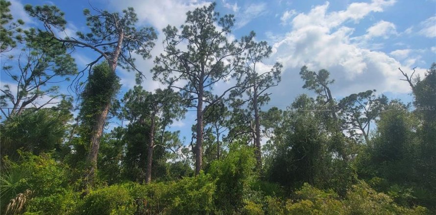 Land in Port Charlotte, Florida № 2160439