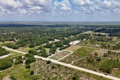 Terreno en venta en Okeechobee, Florida № 2221233 - foto 2