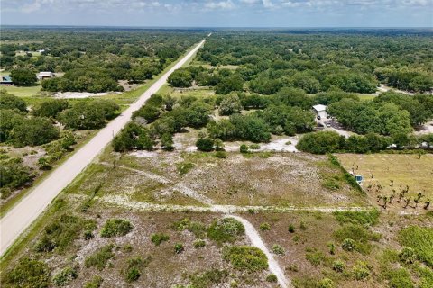 Terreno en venta en Okeechobee, Florida № 2221233 - foto 30