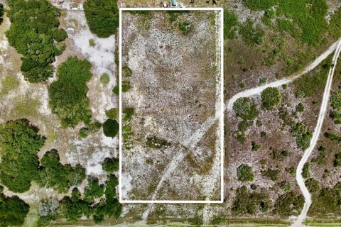 Terreno en Okeechobee, Florida № 2221233