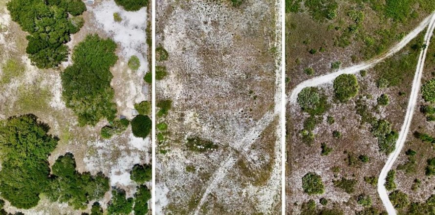 Terreno en Okeechobee, Florida № 2221233