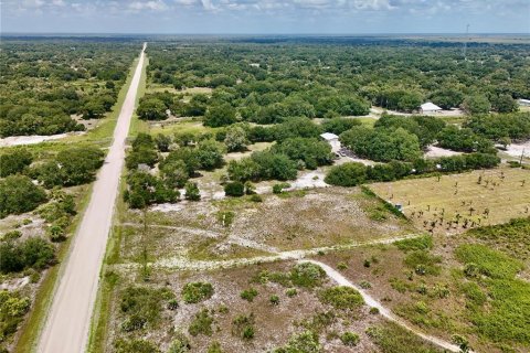 Terreno en venta en Okeechobee, Florida № 2221233 - foto 29