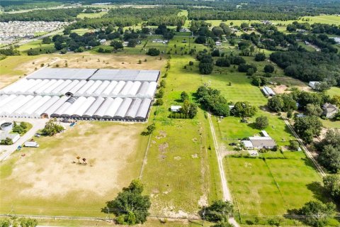 Terreno en venta en Apopka, Florida № 1909299 - foto 6