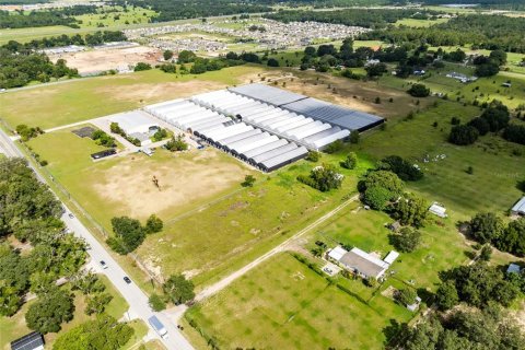 Terreno en venta en Apopka, Florida № 1909299 - foto 8