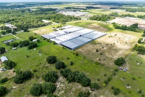 Terreno en venta en Apopka, Florida № 1909299 - foto 13