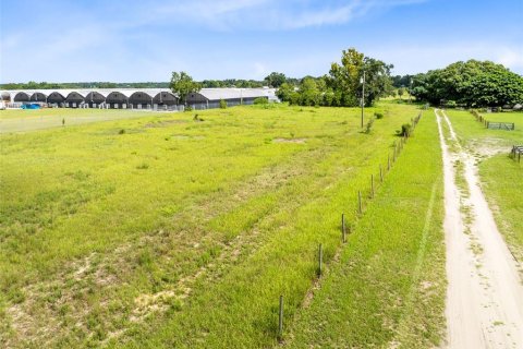 Terreno en venta en Apopka, Florida № 1909299 - foto 5